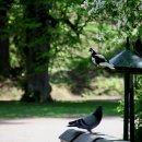 자연로하스 이미지