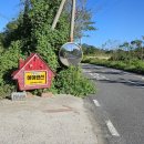 남강하하 이미지