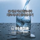 시라 | 물 대신 마신 멜로시라, 차로 마시며 달라진 후기
