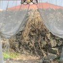 느낌표 민박 이미지