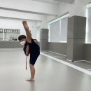 일등태권도장 이미지