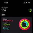 세성