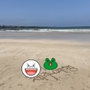 용머리해물정식
