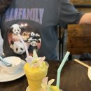 도이스튜디오