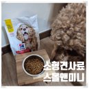 노령견사료 힐스 스몰앤미니 어덜트 11+ 반 년 급여 후기