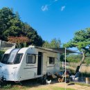 (주)위드독 이미지