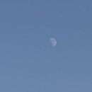 분식다이소 이미지