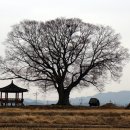 세도 다근진나루 및 구경정 이미지