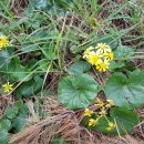 (유)에스엠건설 이미지