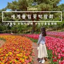 꽃지후문주차장(번영회 옆) | [태안] 세계 튤립 축제 꽃박람회 주차장 꿀팁, 입장권 전동차 포토존까지 상세후기
