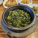 분당 정자동 돌솥밥 맛집 - 건강한 한 끼가 되는 밥상머리