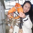 실내바다낚시터 Daum카페