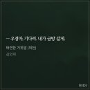[로맨스] 김언희 - 태연한 거짓말