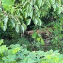 옥계목장 이미지