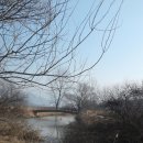 화포천생태습지공원 이미지