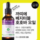 주부생활 카카오 검색결과