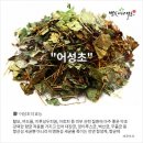 화산영농조합법인 이미지