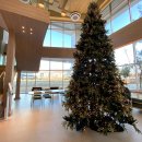 창원 중동 유니시티 신상 베이커리카페 브릭커스커피 오픈이벤트(크리스마스트리🎄)