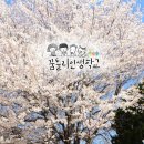 인생학교 봄 이미지