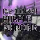 퍼플피어싱 - 고양시 일산동구 무궁화로 32-34 | [일산 피어싱샵] 퍼플 피어싱 후기