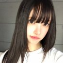시드니참치