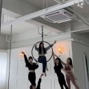 피네폴스튜디오