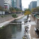 신세계를 찾아서 - 이미지