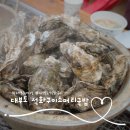 와글와글염소탕.소머리국밥 | 안산 대부도 굴찜 석화구이소머리국밥 겨울 제철 석화 굴 맛집