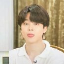 펫토피아 이미지