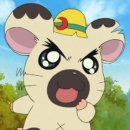 혼밥대장 이미지