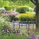 어느날 문득/임영웅/ 내가만일/ 커버연주/ 이미지