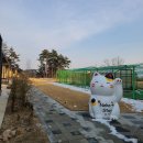 네코켓 | [강릉여행] 반려묘 동반여행 &#39;네코스테이&#39; 후기