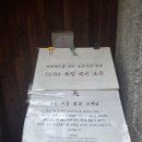 송송카츠 | 부산 돈까스 맛집 '톤쇼우 남포' 버크셔K 히레카츠 내돈내산 후기