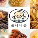 문어의꿈 이미지