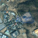 올리브부동산중개사무소 이미지