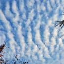 상사서로-31 이미지