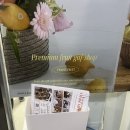 프헤즈프룻