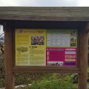 다라미자운영마을 이미지