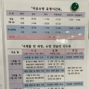호돌이체육관 | 포항실내수영장 자유수영 시간표•평일 주말 운영시간, 강습 수강신청