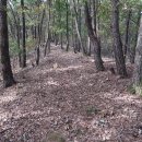 미산면사무소 이미지