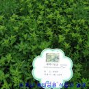 정립회관(1) 이미지