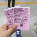 포항 출발 울릉도여행 1박2일 패키지 울릉크루즈 총정리