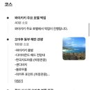 폴로(POLO)관광호텔 | 하와이 와이켈레 아울렛 쿠폰 폴로 쇼핑 후기 (신혼여행 쇼핑 필수 코스)
