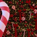 온천장로107번길 이미지