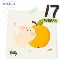 11650-17-110-16 | [임신일기] 17주-19주: 임산부 KTX 특실/임산부 발레/쌍둥이 젠더리빌