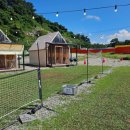 고기어때 이미지