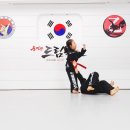 드림태권도전문도장 이미지