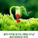 행복한3월 이미지