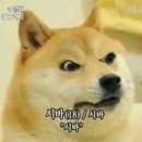 없음 이미지