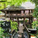 란나레스토랑 | 치앙마이 참차 마켓 맛집_미슐랭 선정. 미나 레스토랑 메뉴, 후기